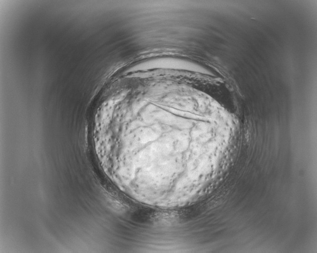 X0000053140110200508081354