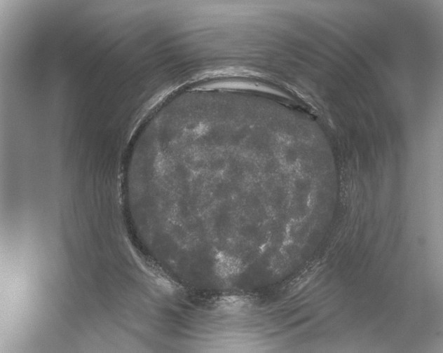 X0000053140111200508081354