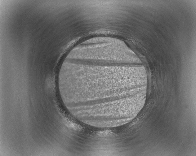 X0000053140112200508081354