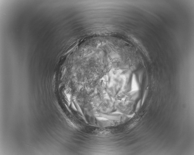 X0000053140113200508081354