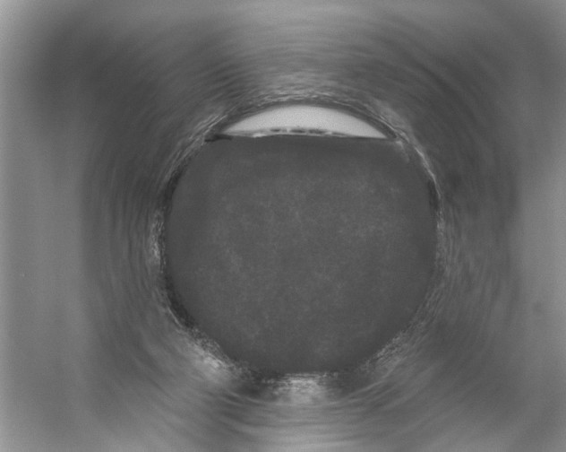 X0000053140114200508081354