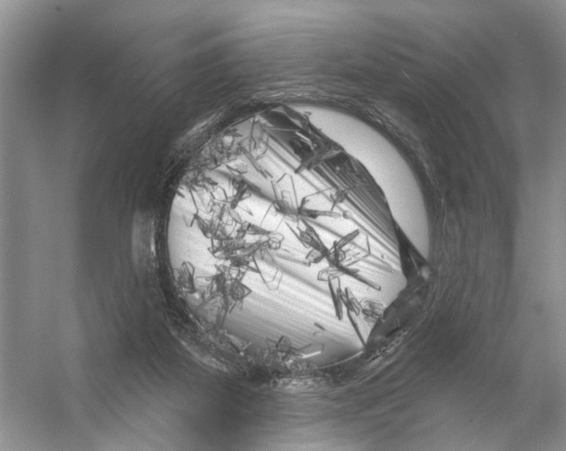 X0000053140115200508081354