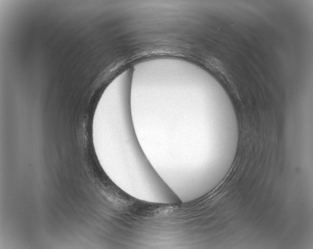 X0000053140116200508081354