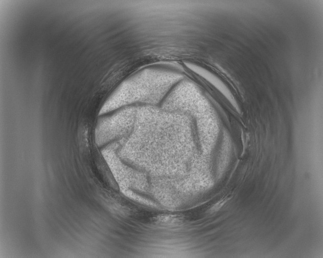 X0000053140117200508081354