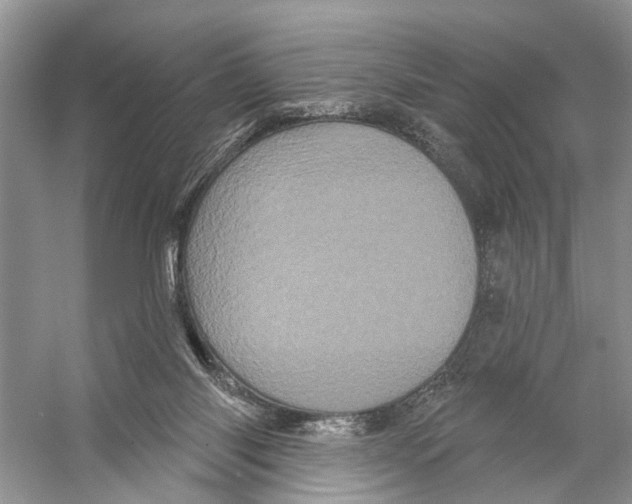 X0000053140118200508081354