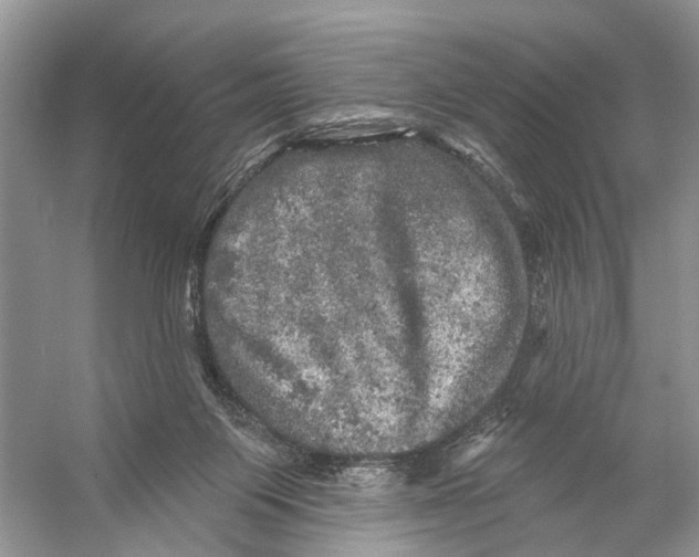 X0000053140119200508081354