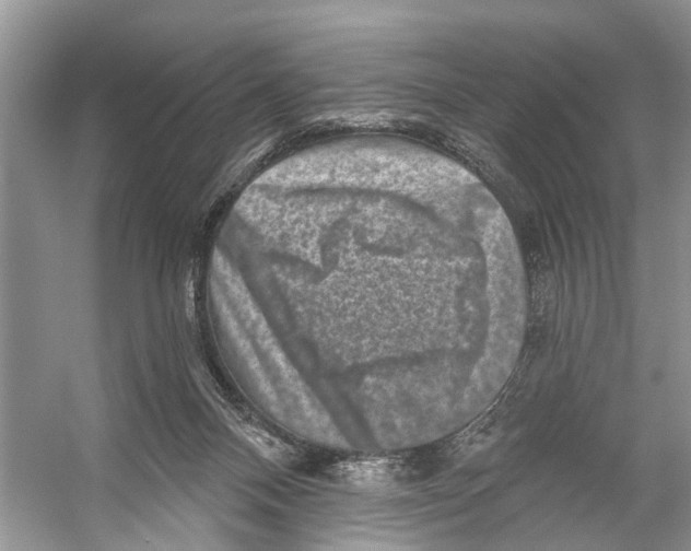 X0000053140120200508081354