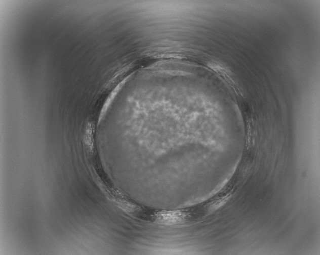 X0000053140121200508081354