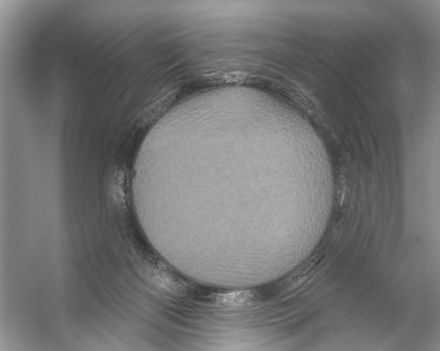 X0000053140122200508081354