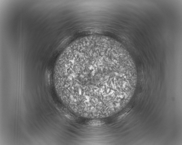 X0000053140123200508081354