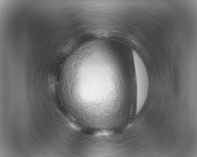 X0000053140125200508081354