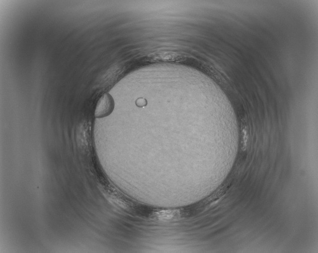 X0000053140126200508081354