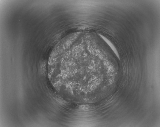 X0000053140127200508081354