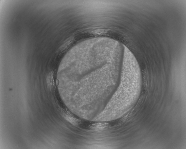 X0000053140128200508081354