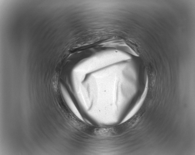 X0000053140129200508081354