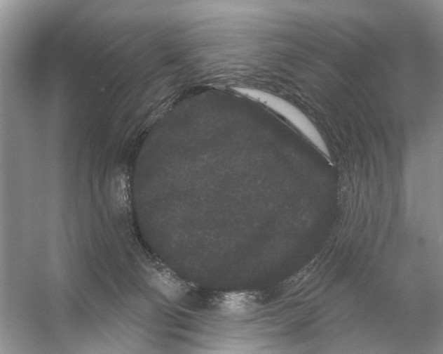 X0000053140130200508081354