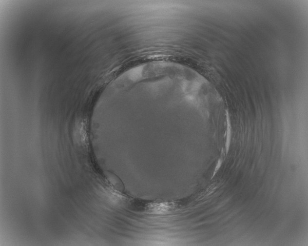 X0000053140131200508081354