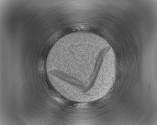 X0000053140132200508081354