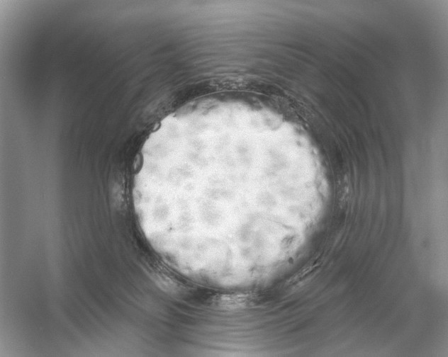 X0000053140134200508081354