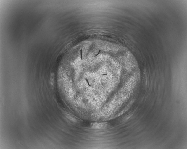 X0000053140135200508081354