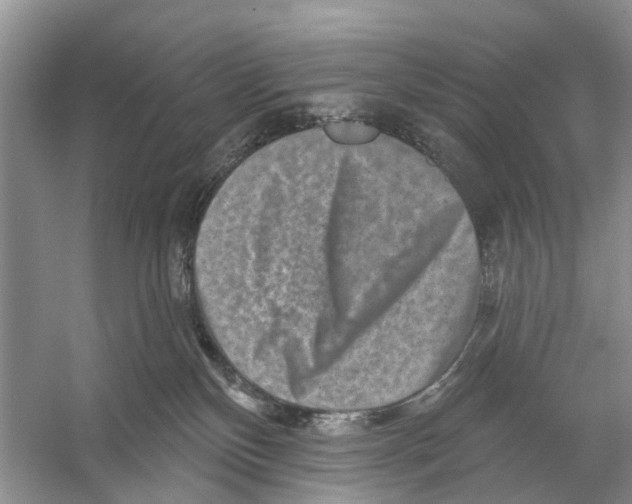 X0000053140136200508081354