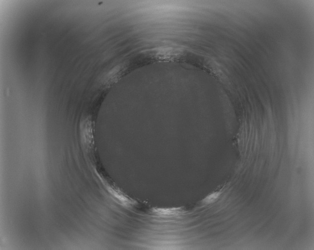 X0000053140137200508081354