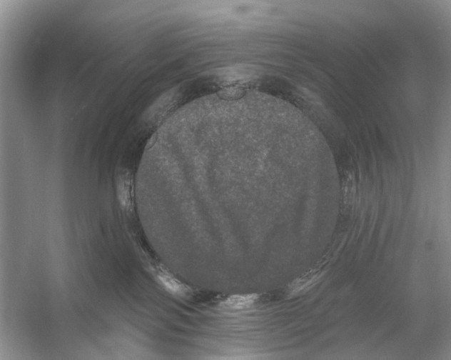 X0000053140138200508081354