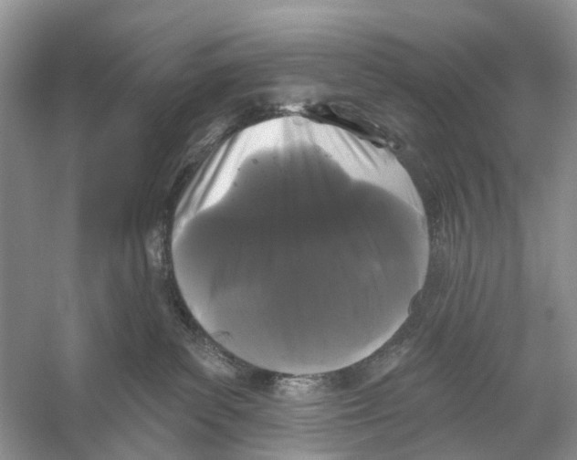 X0000053140139200508081354