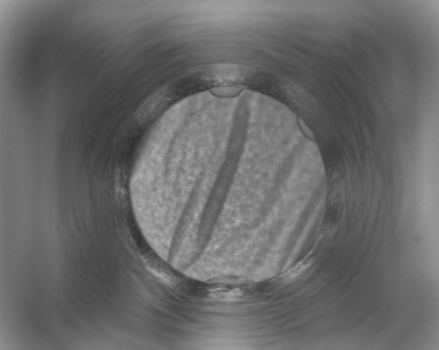 X0000053140140200508081354