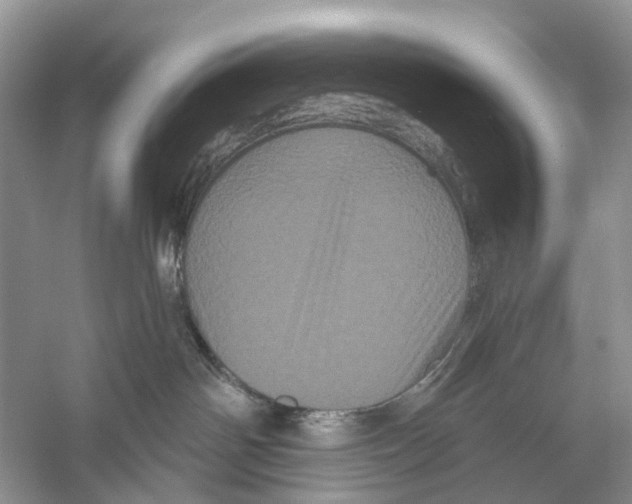 X0000053140142200508081354