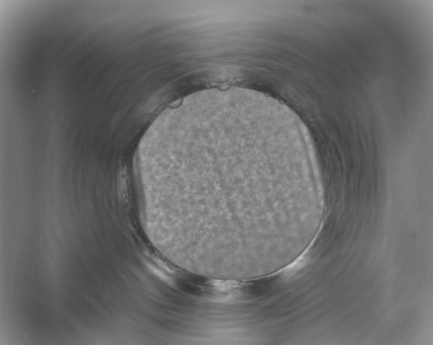 X0000053140144200508081354