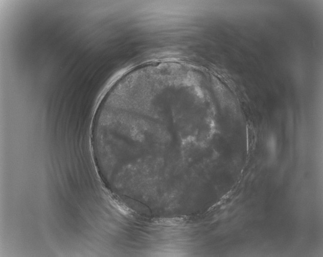 X0000053140147200508081353