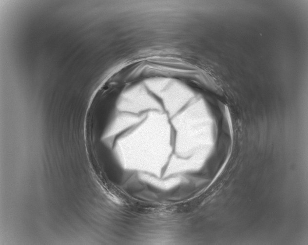 X0000053140148200508081353