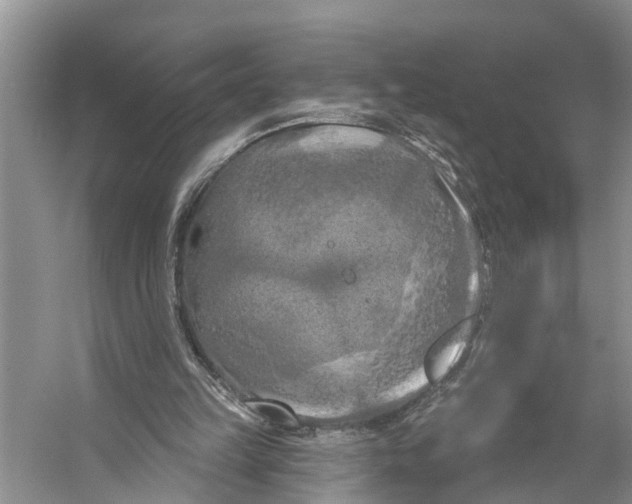 X0000053140149200508081353