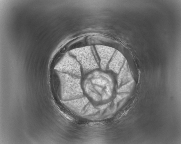 X0000053140150200508081353