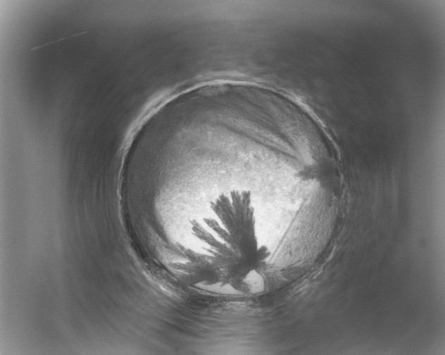 X0000053140151200508081353