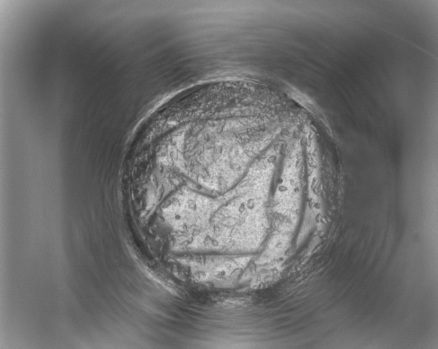 X0000053140155200508081353