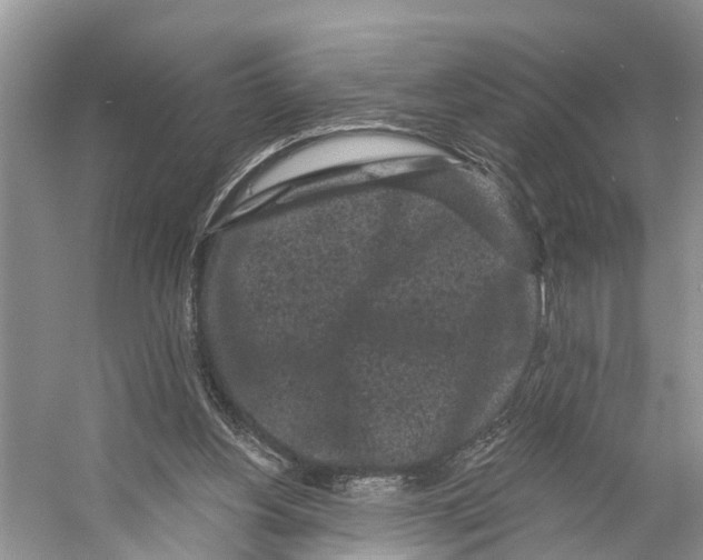 X0000053140156200508081353