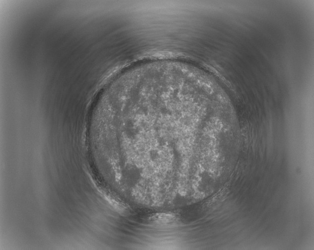 X0000053140159200508081353