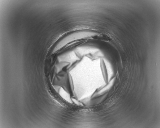 X0000053140160200508081353