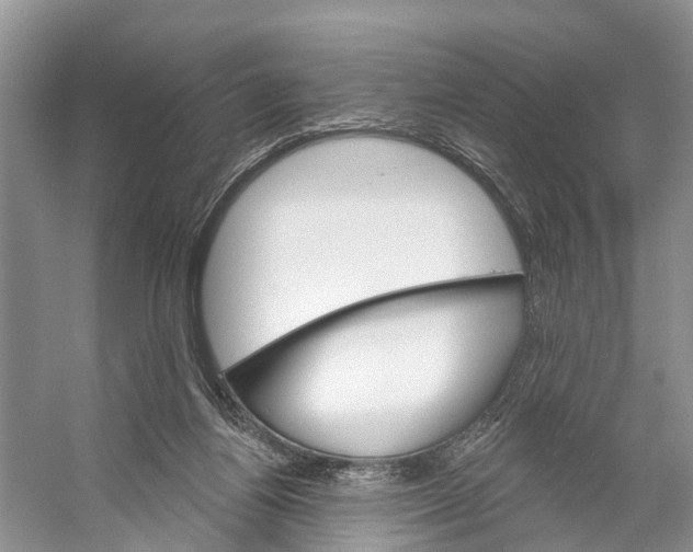 X0000053140164200508081353