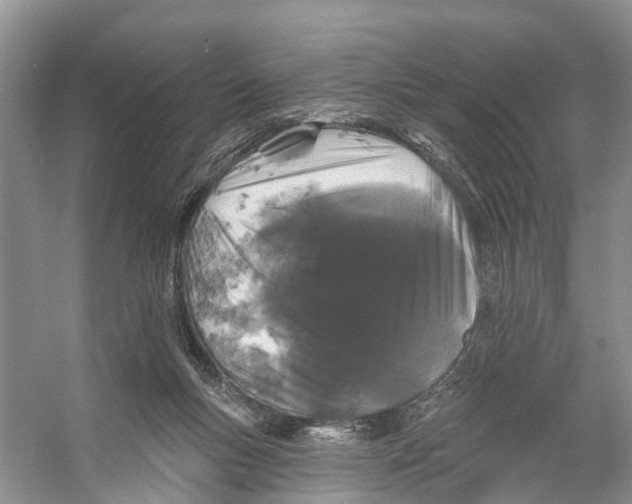X0000053140167200508081353
