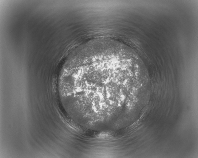 X0000053140171200508081354