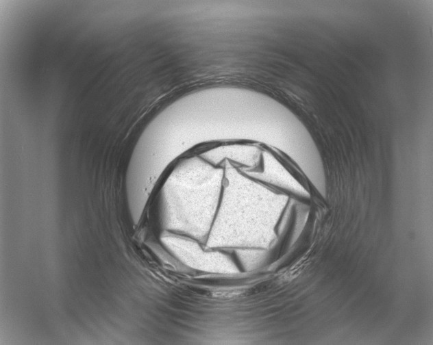 X0000053140172200508081354