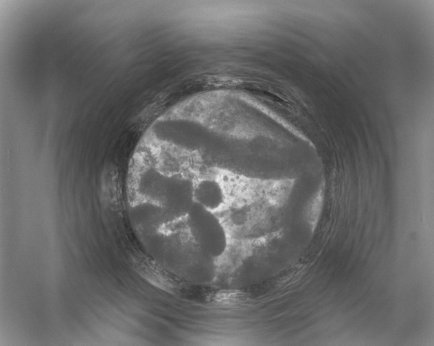 X0000053140173200508081354