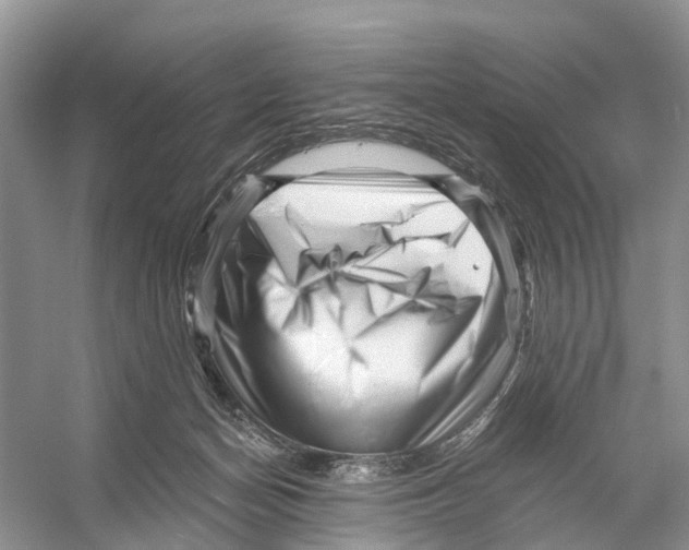 X0000053140174200508081354