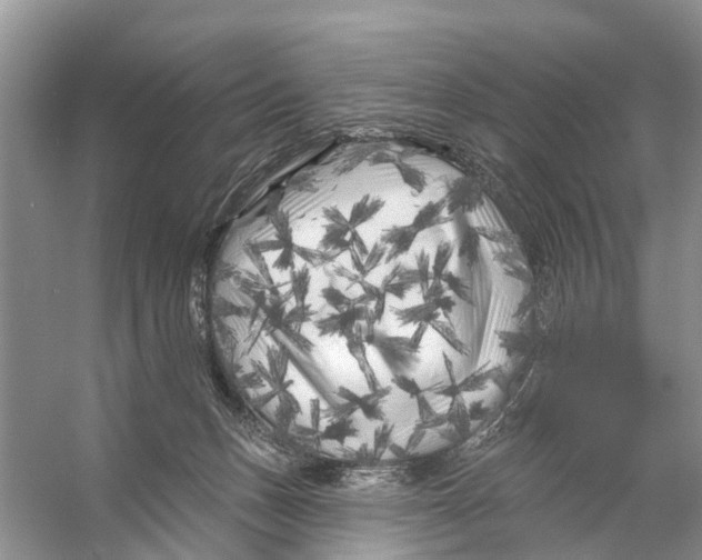 X0000053140175200508081354