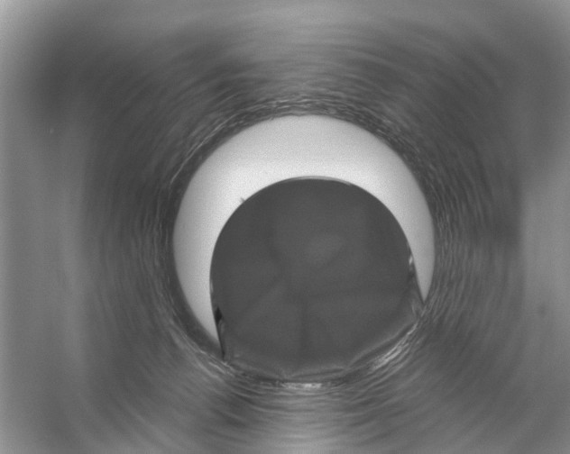 X0000053140176200508081354