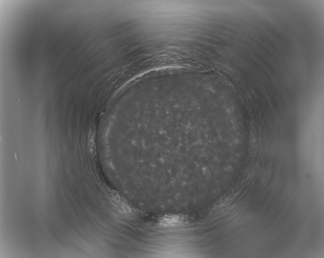 X0000053140177200508081354