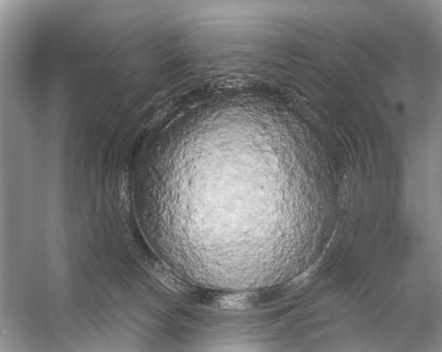 X0000053140178200508081354